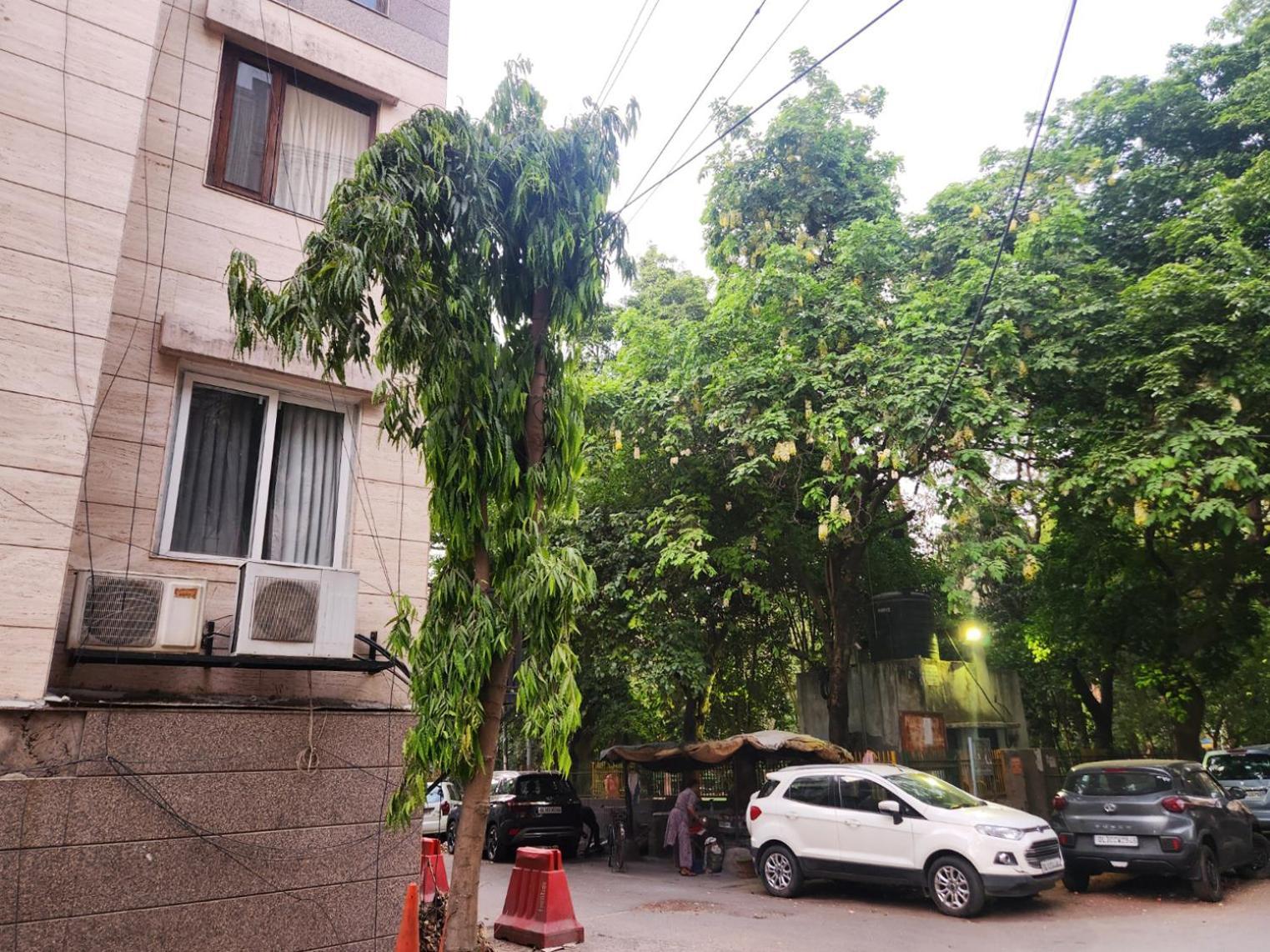 Sunlit Premium 1bhk With Big Kitchen 9 Apartment New Delhi