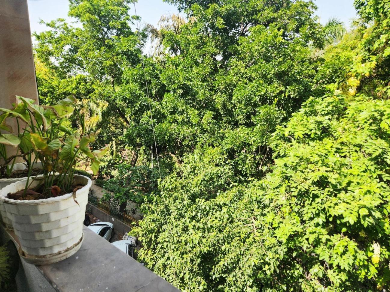 Apartment Sunlit Premium 1bhk With Big Kitchen 9 New Delhi